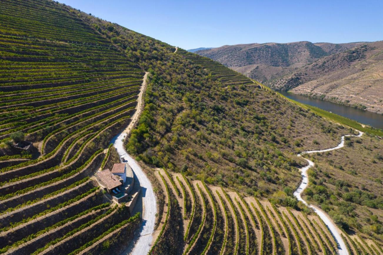 Casa Do Rio - Douro Wine Hotel By Vallado Vila Nova de Foz Coa Kültér fotó
