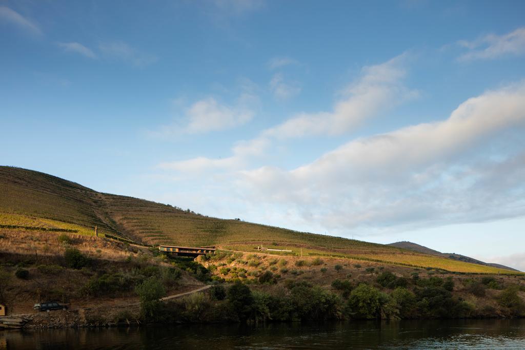 Casa Do Rio - Douro Wine Hotel By Vallado Vila Nova de Foz Coa Kültér fotó