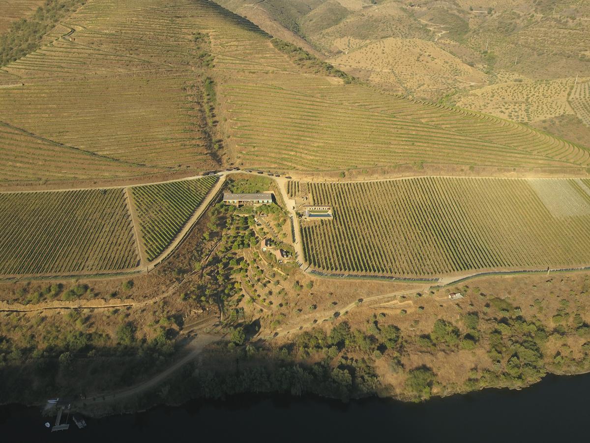 Casa Do Rio - Douro Wine Hotel By Vallado Vila Nova de Foz Coa Kültér fotó