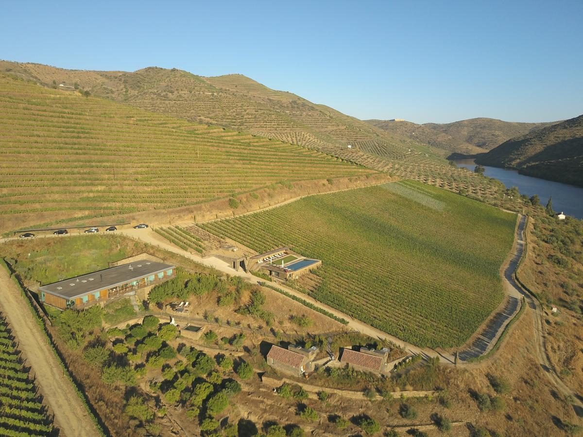 Casa Do Rio - Douro Wine Hotel By Vallado Vila Nova de Foz Coa Kültér fotó