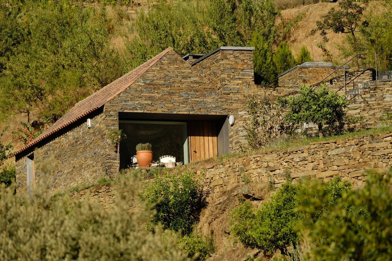 Casa Do Rio - Douro Wine Hotel By Vallado Vila Nova de Foz Coa Kültér fotó