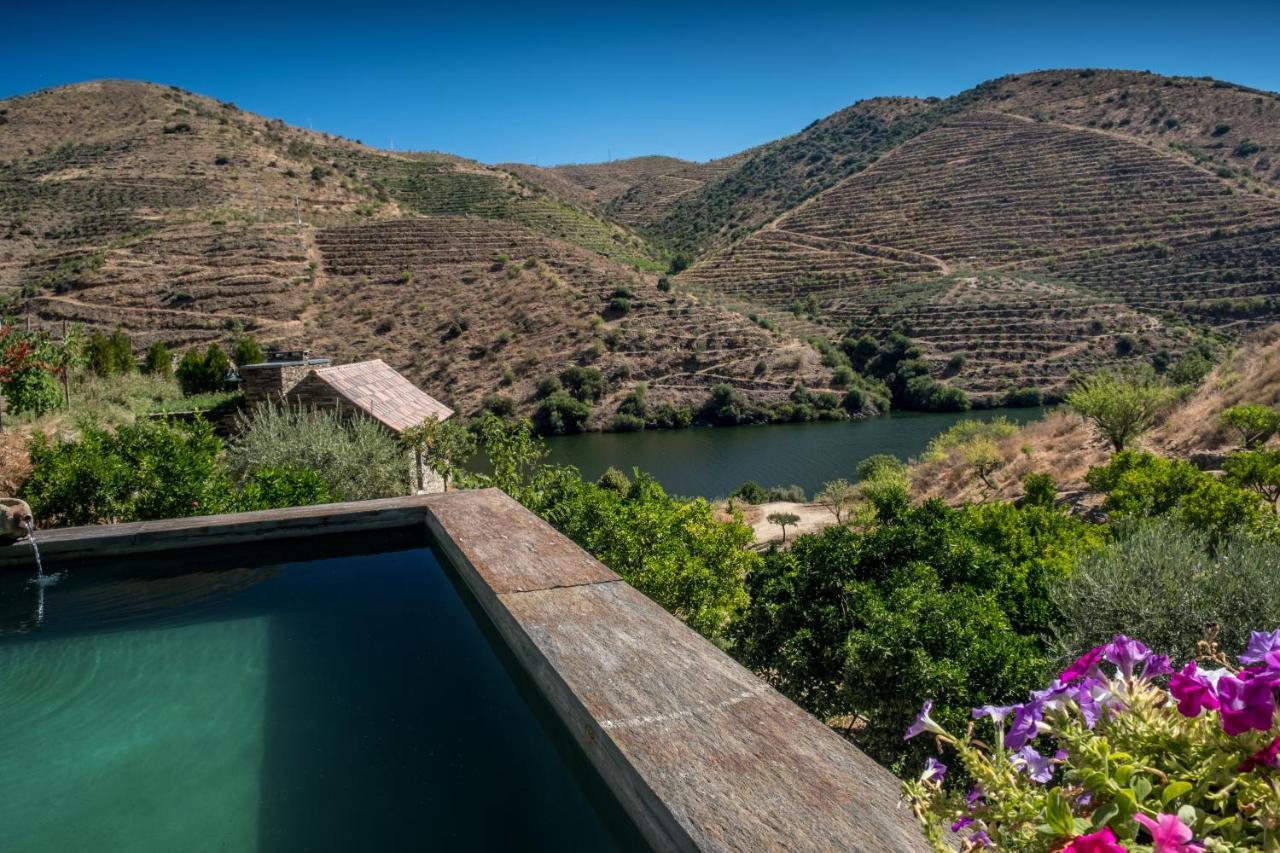 Casa Do Rio - Douro Wine Hotel By Vallado Vila Nova de Foz Coa Kültér fotó